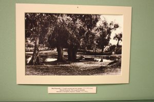 img_9131